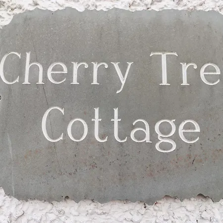 Cherry Tree *